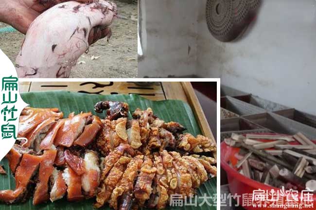 張家界商品竹鼠肉多少錢一斤